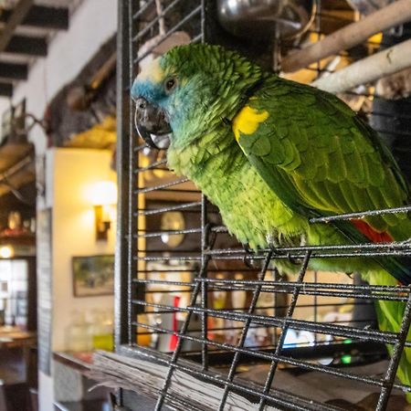New Inn Кредитън Екстериор снимка