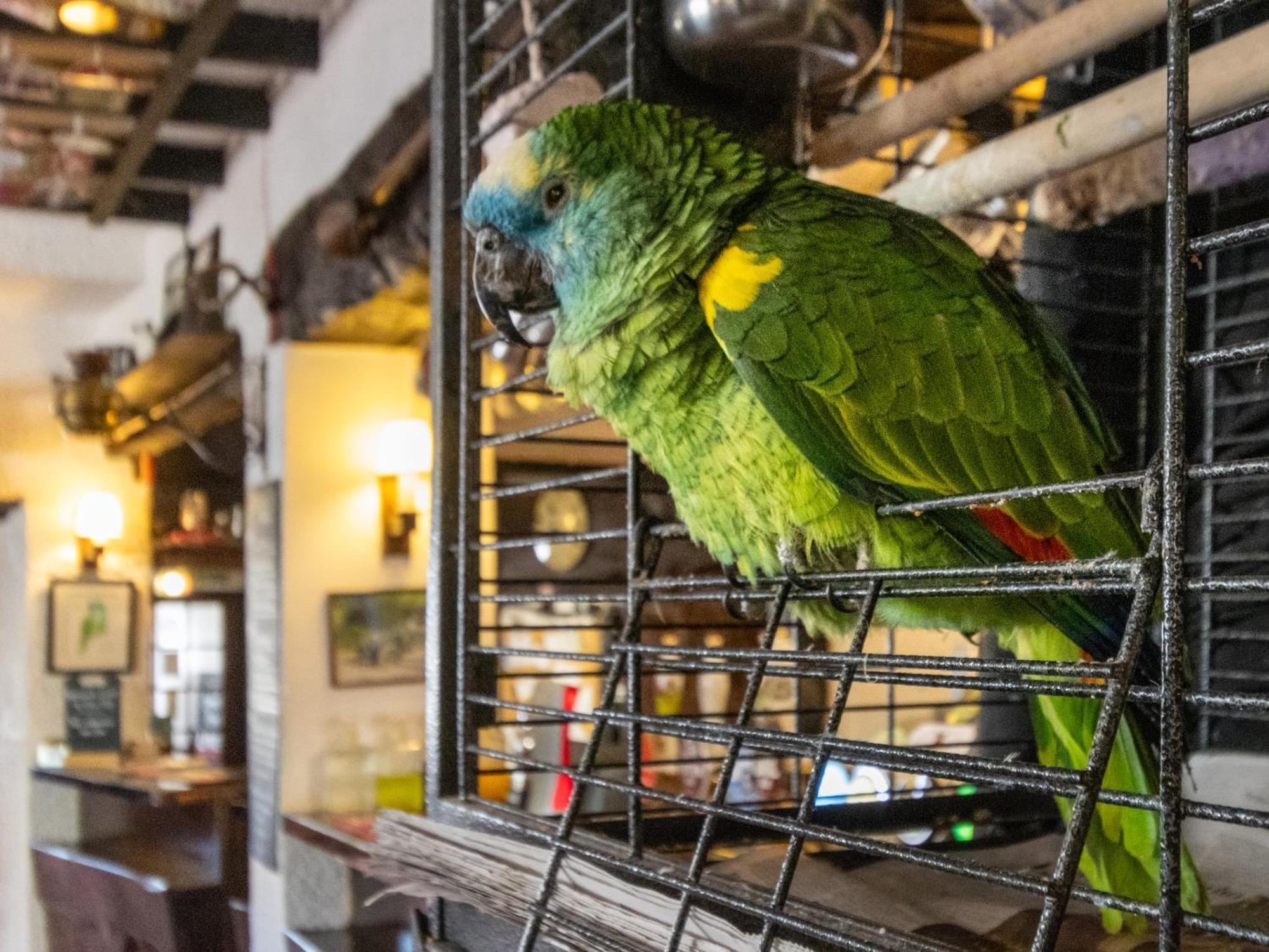 New Inn Кредитън Екстериор снимка